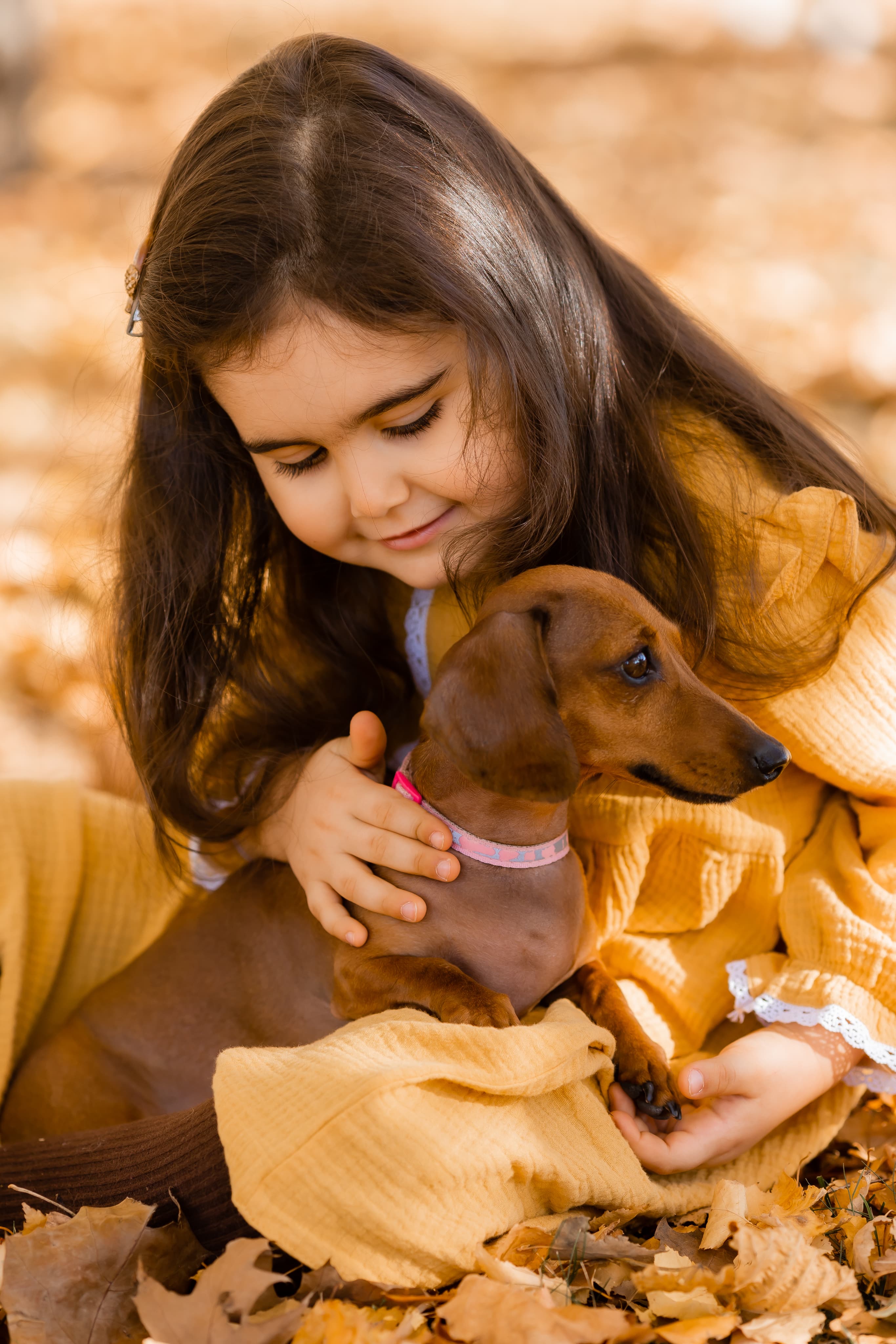 Dog owner playing with their dog in the park